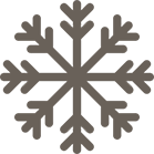 snowflake-2